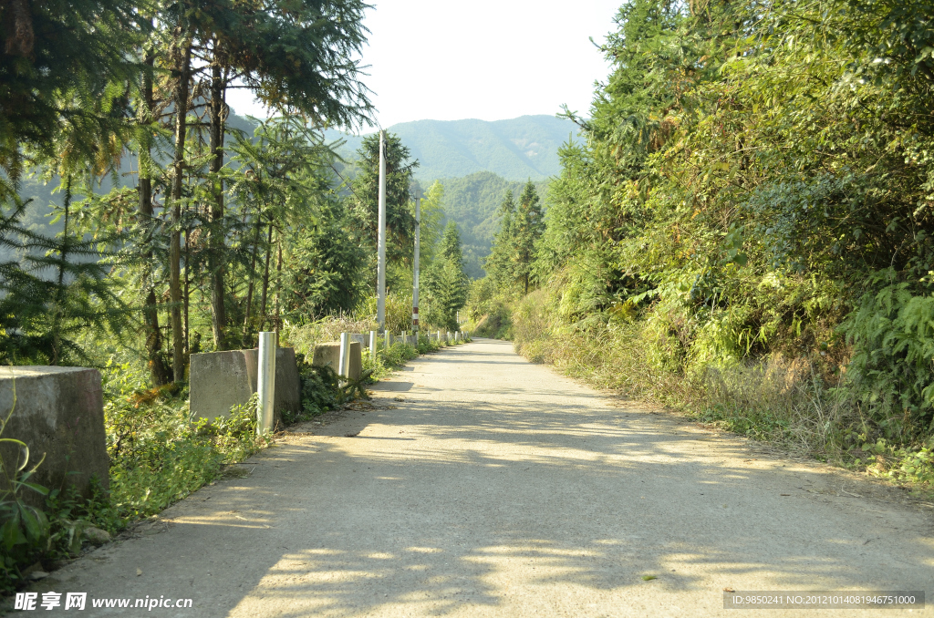 鄉間公路