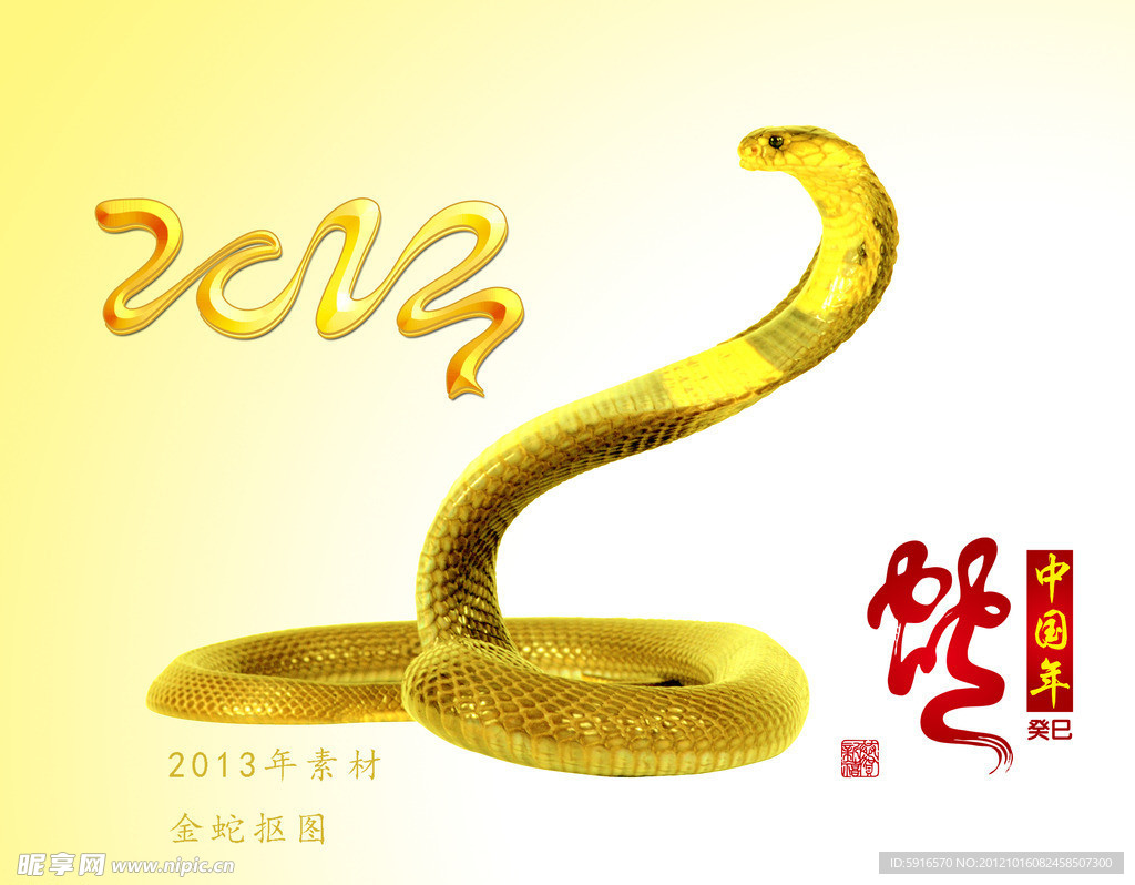 2013 金蛇