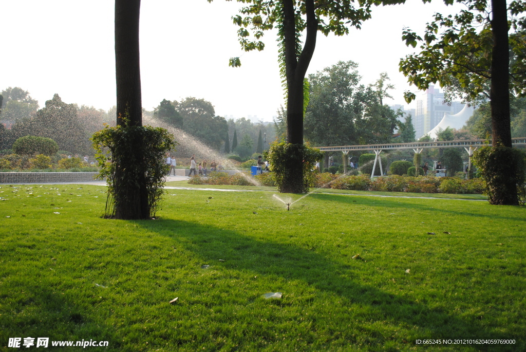 公園草地