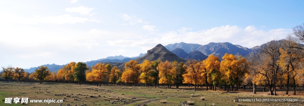自然美景