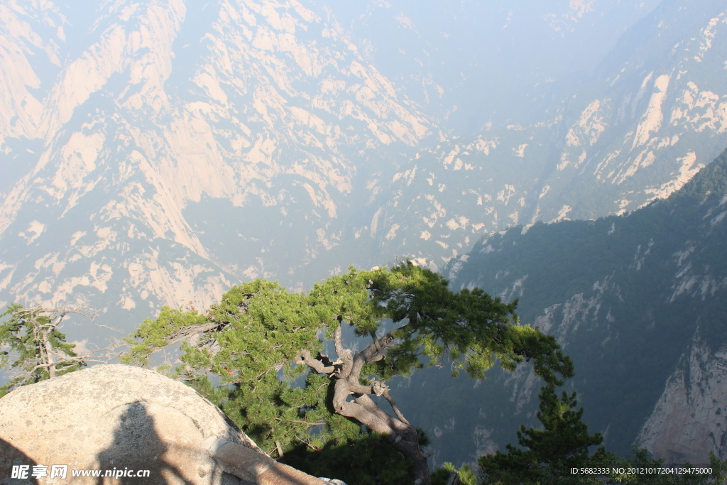 奇松險山