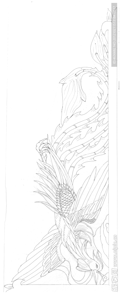 素描鳳凰