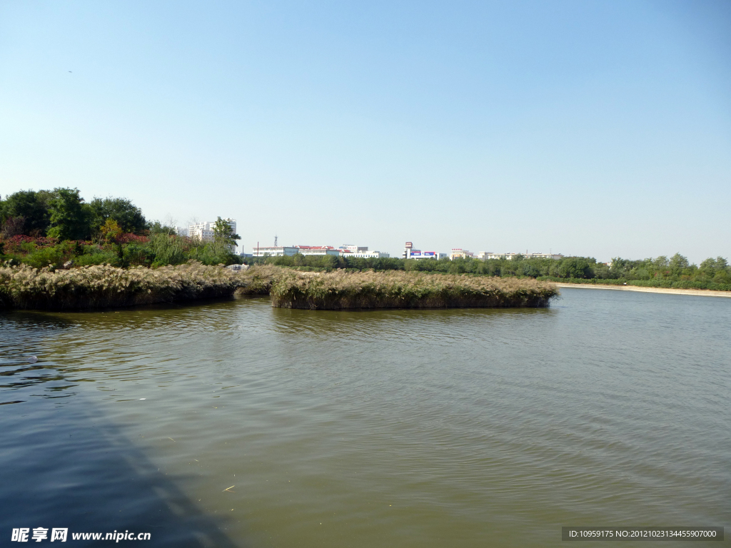 公園