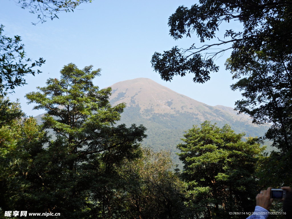 樹葉與山坡