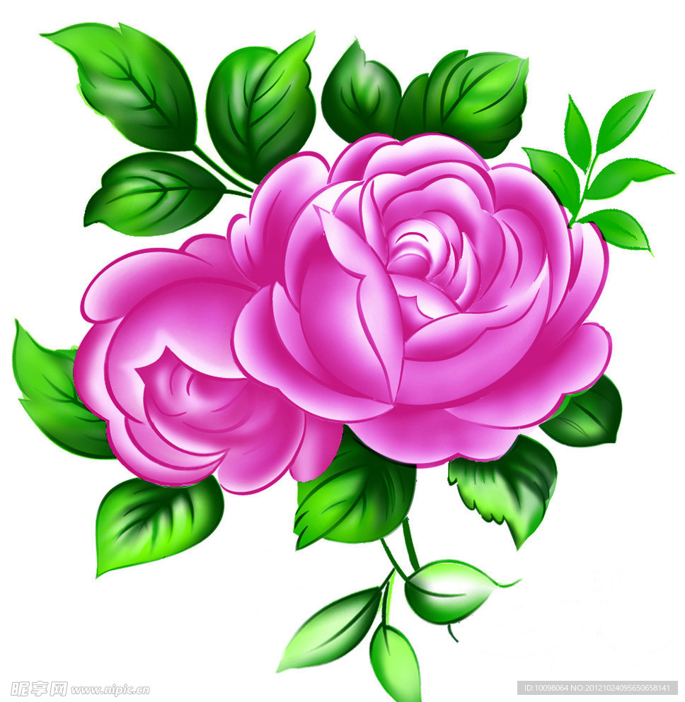 玫瑰花