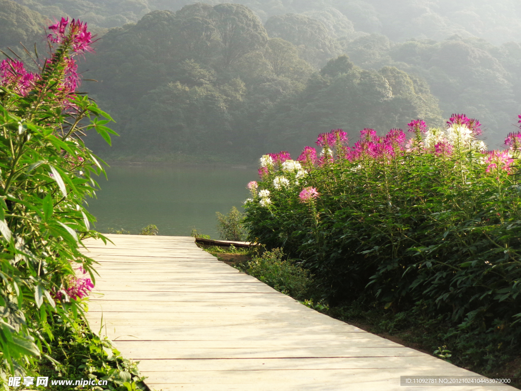 花間步道