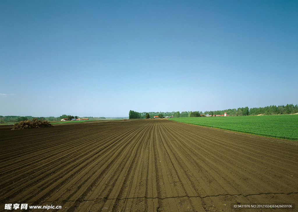 牧場耕地