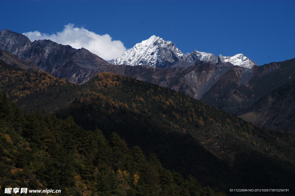 彩林雪山