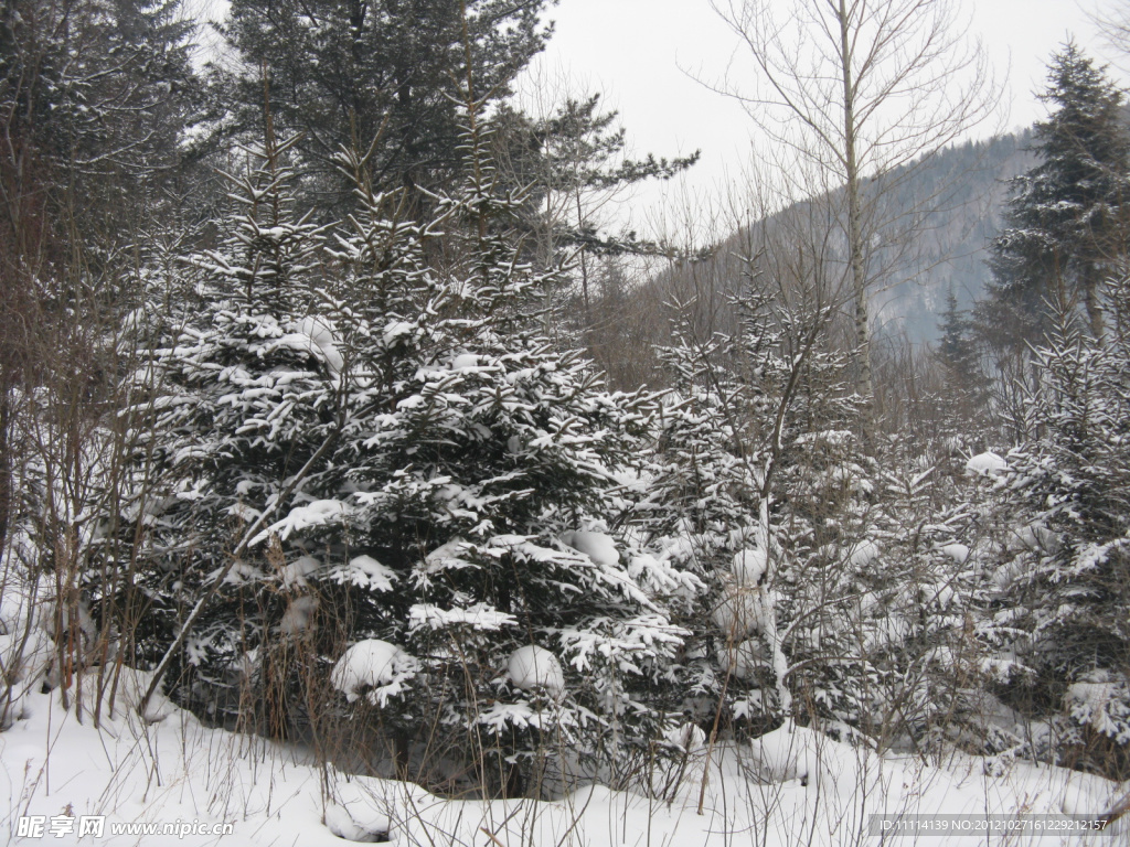 雪鄉(xiāng)風(fēng)景
