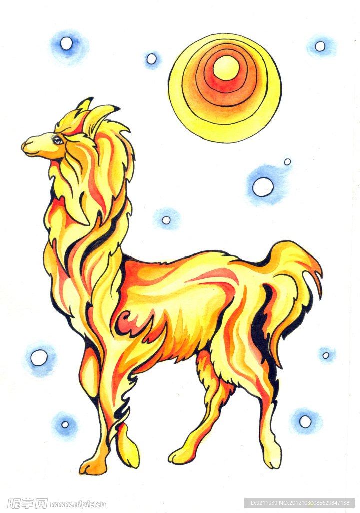 太陽美洲駝