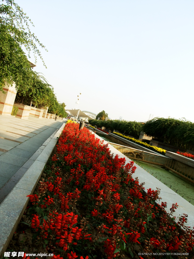 公園花壇