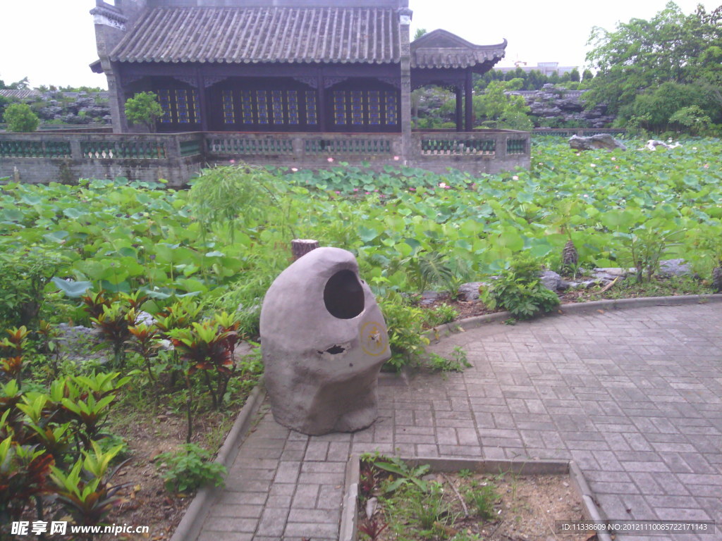 荷塘
