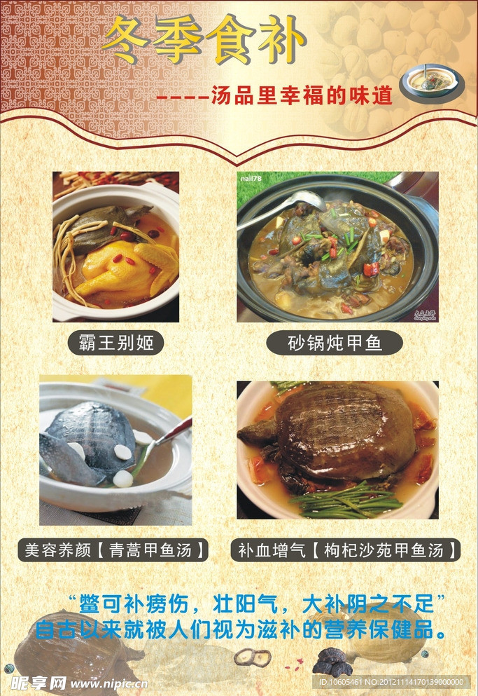 中华鳖甲鱼宣传单