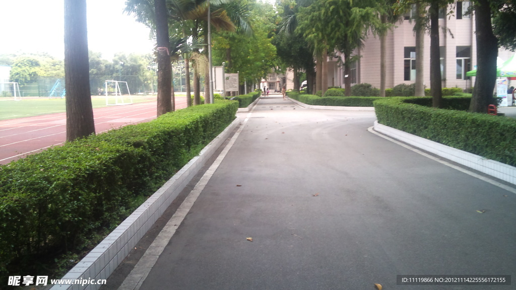校道