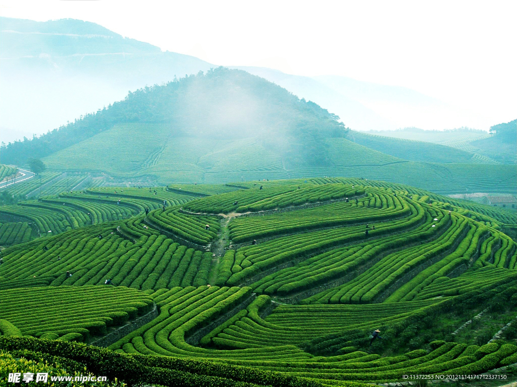 寧波四明山
