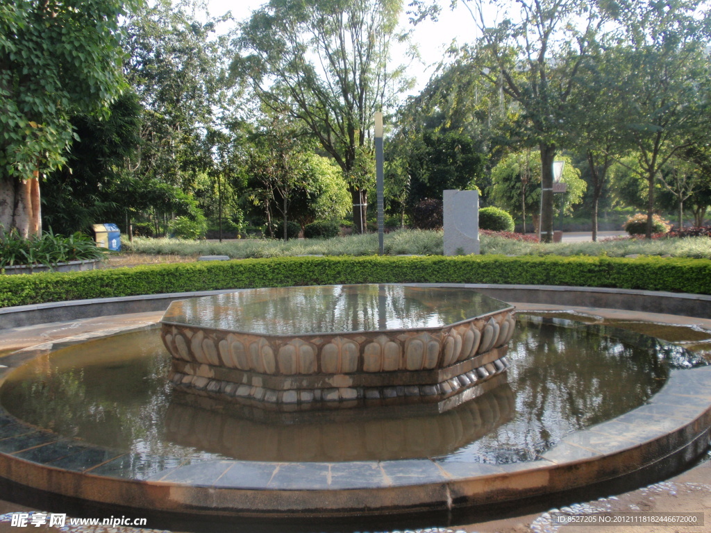 水池