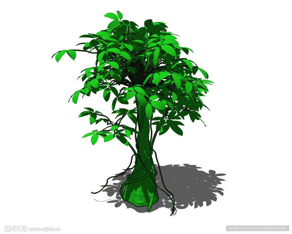 绿树精细3D模型