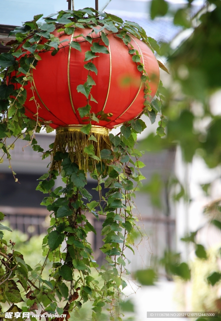 紅綠相伴