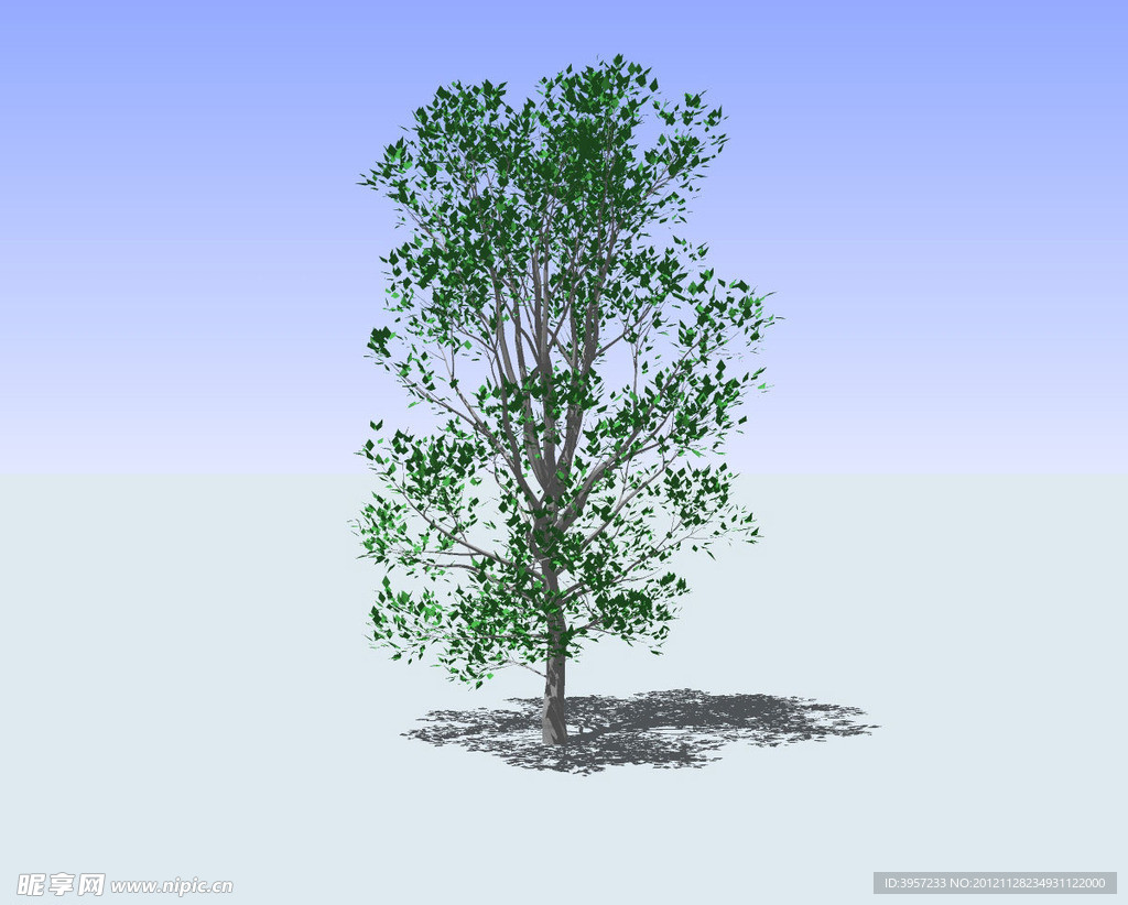 杂树精细3D模型