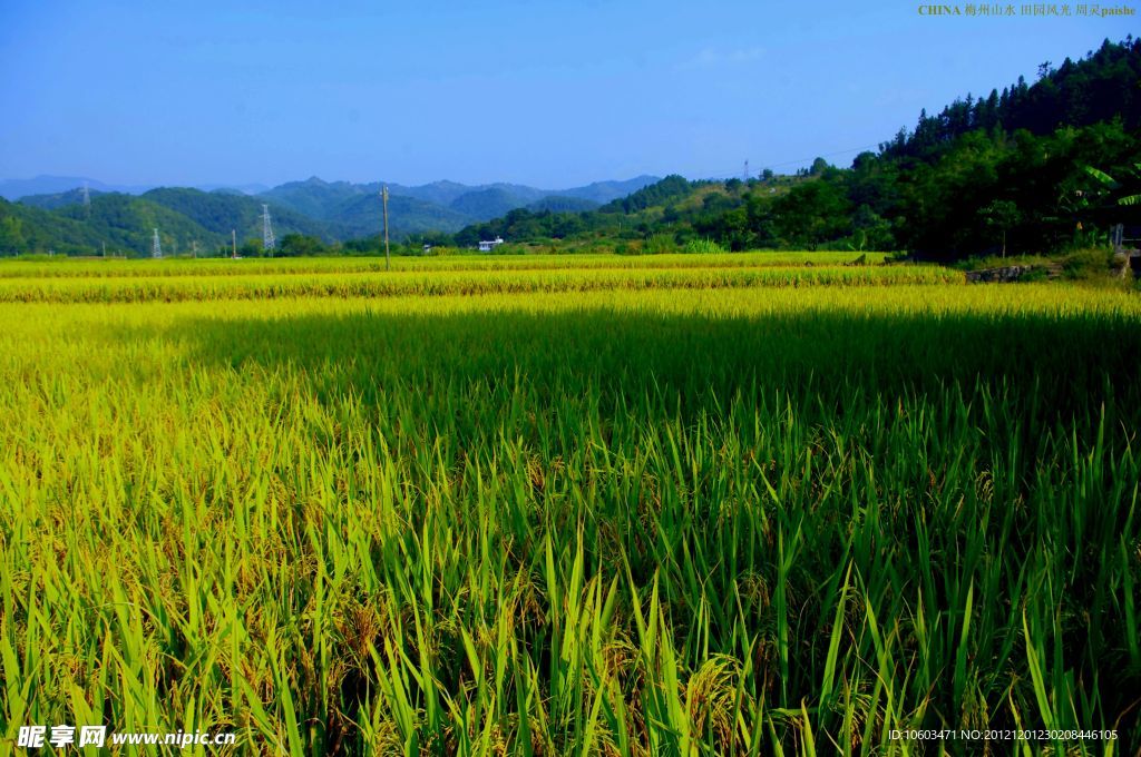 山水風景 田園風光
