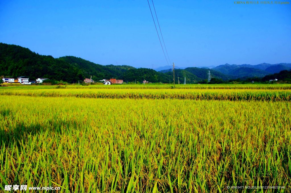 山水風(fēng)景 田園風(fēng)光