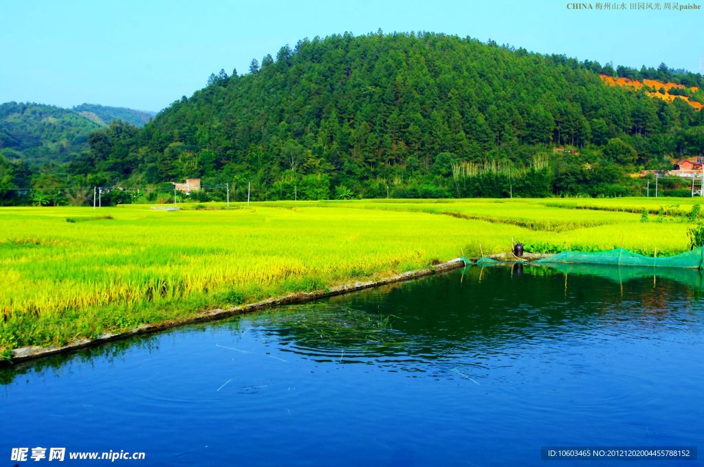 乡村 田园风光