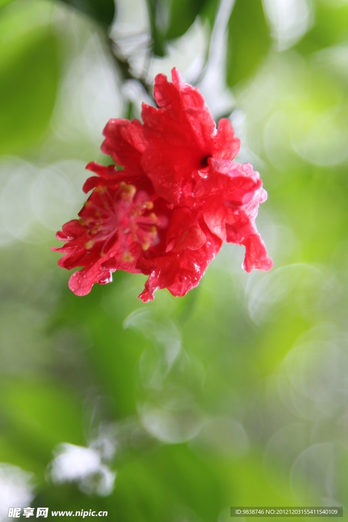 扶?；? />
                            </div>
                    </div>
                </div>



                <div   id=