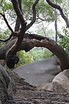 路茫茫