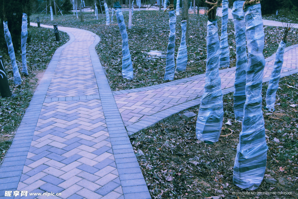公園