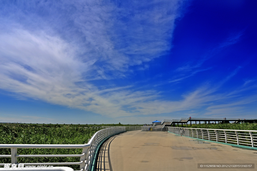 濕地棧橋