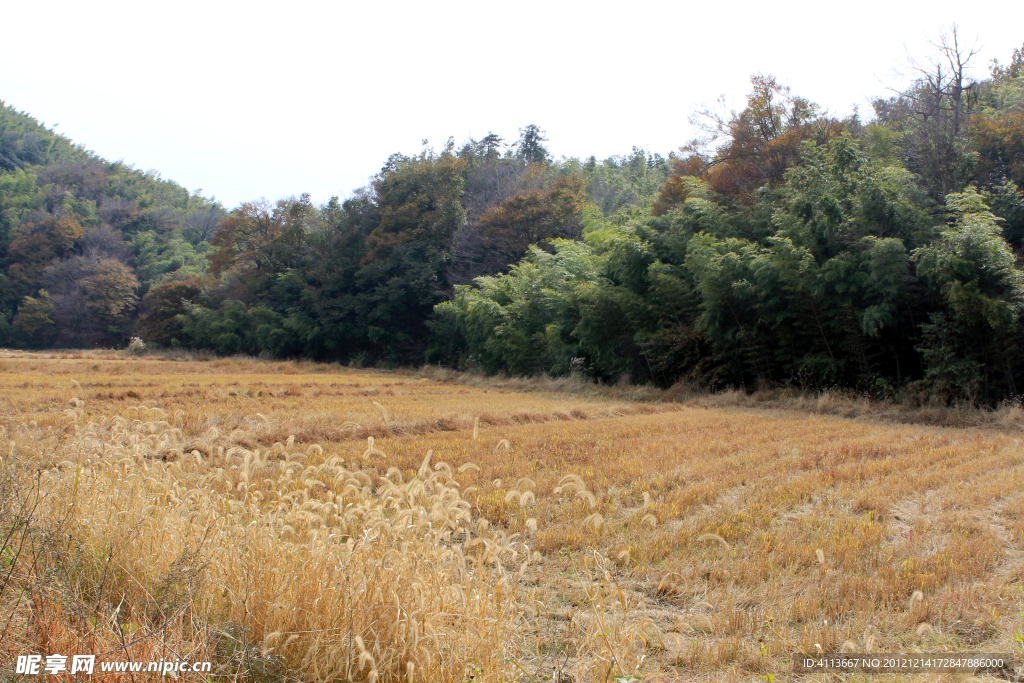 云居山風(fēng)景