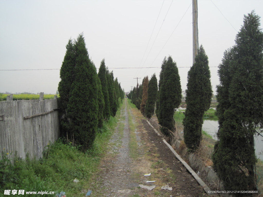 田間小路