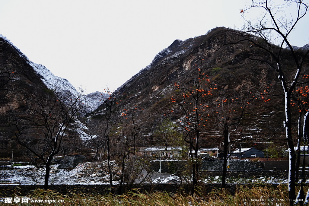 泗溝的薄雪