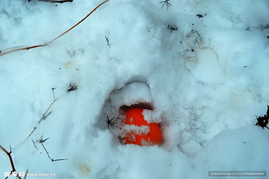 泗溝的積雪