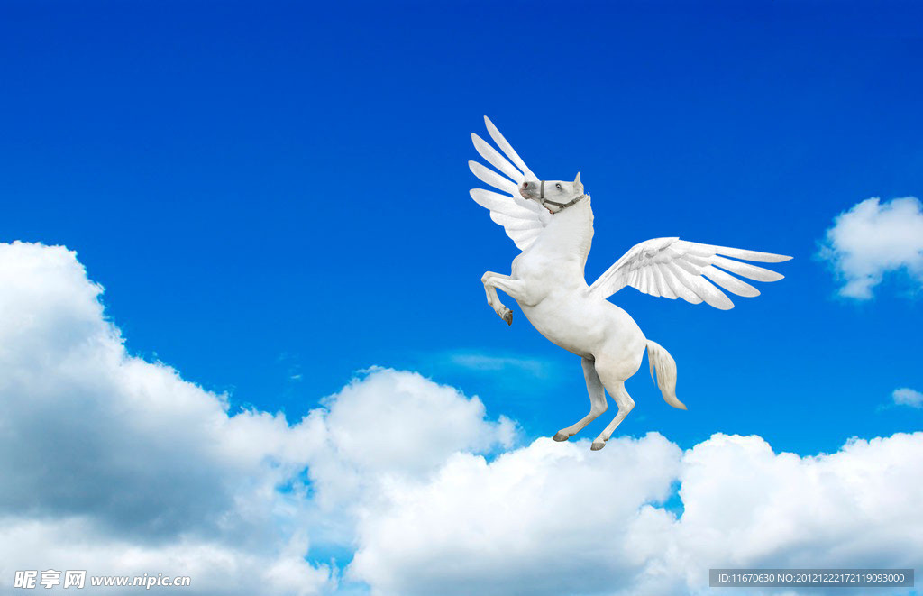 飛馬
