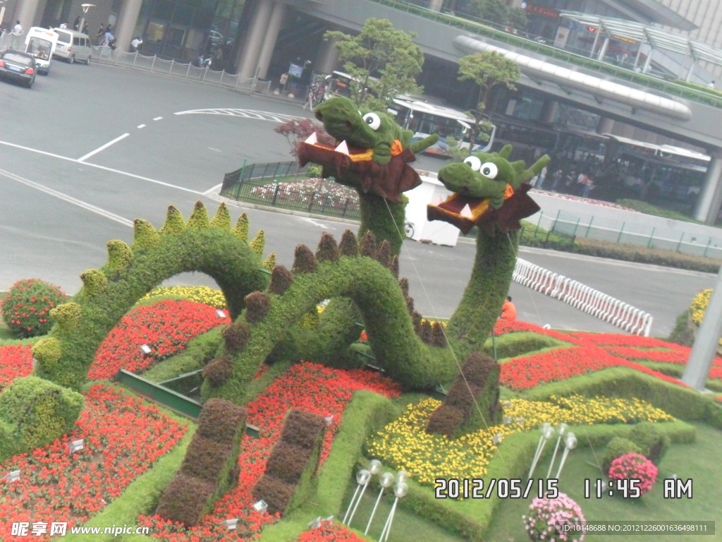 成雙龍