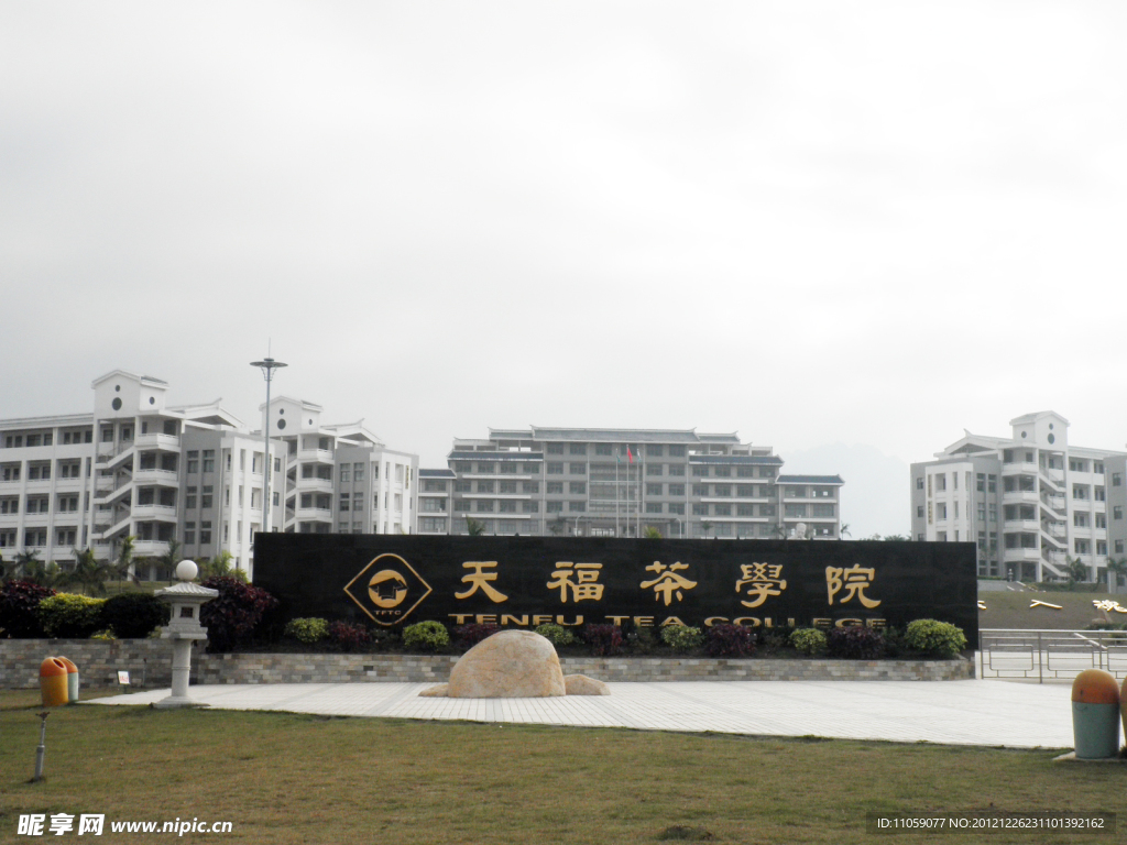 天福茶學院