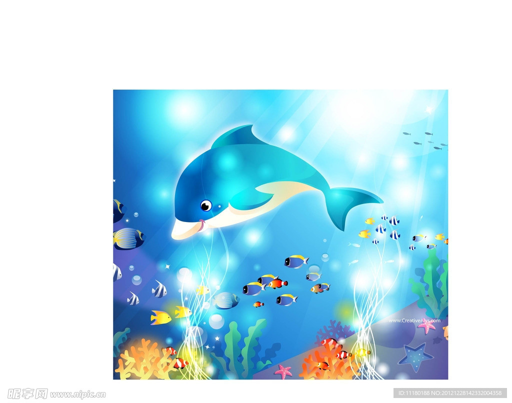 海洋生物