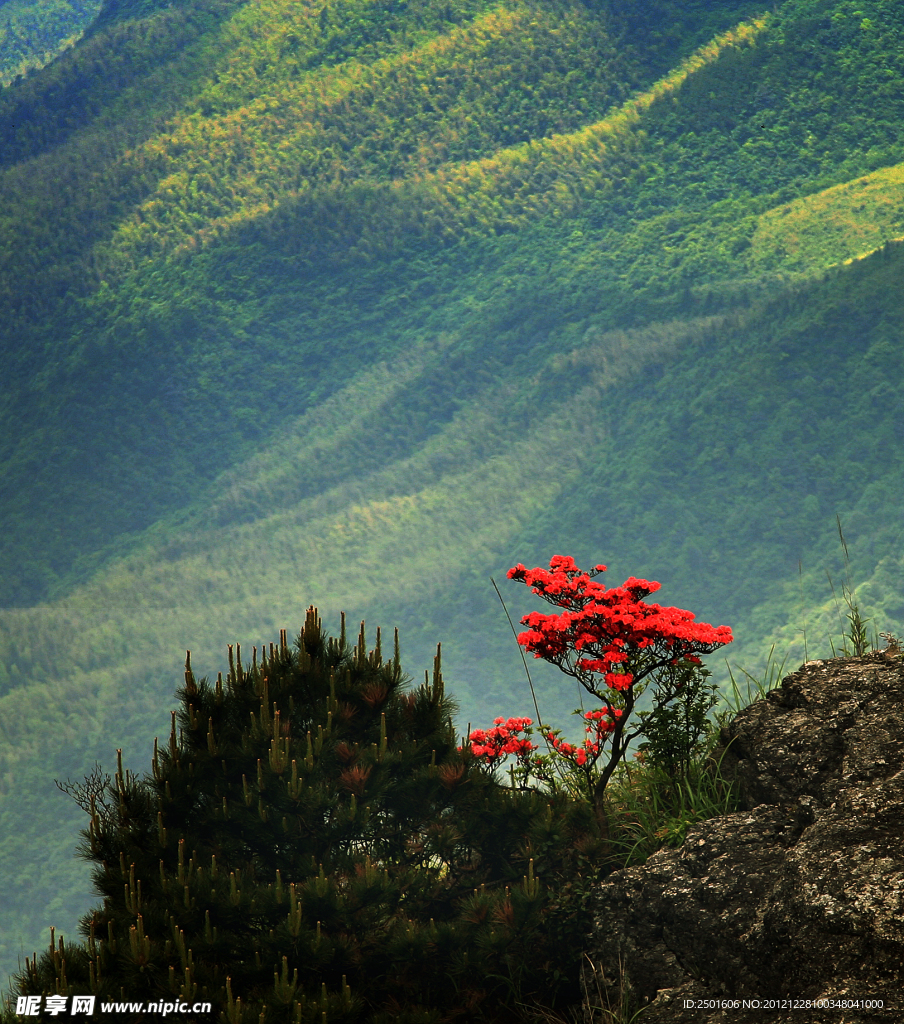 武功山風(fēng)光