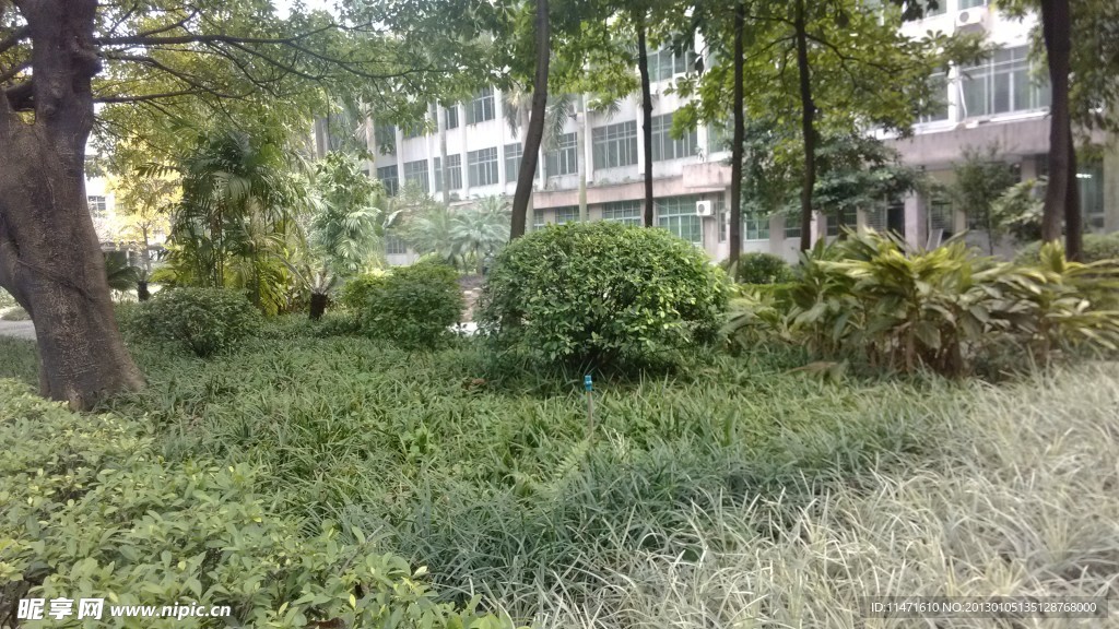 園林美