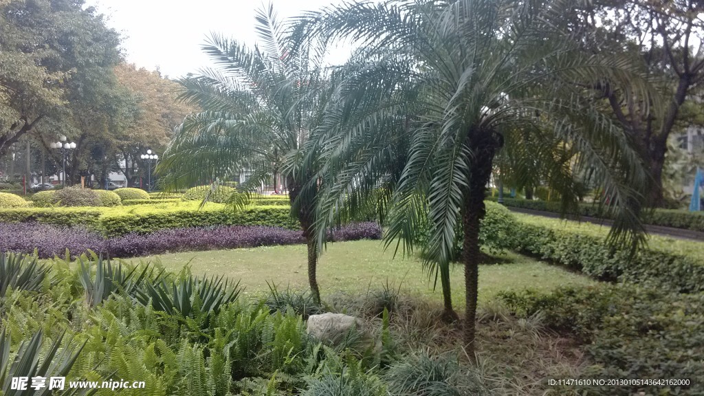 花園