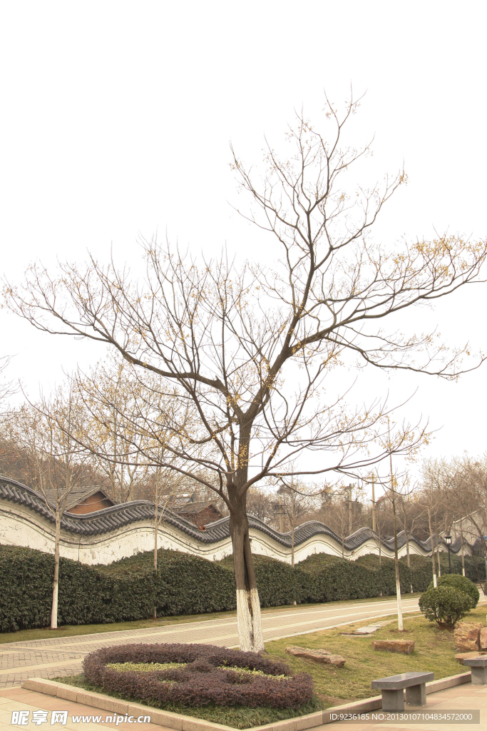 冬天的公園