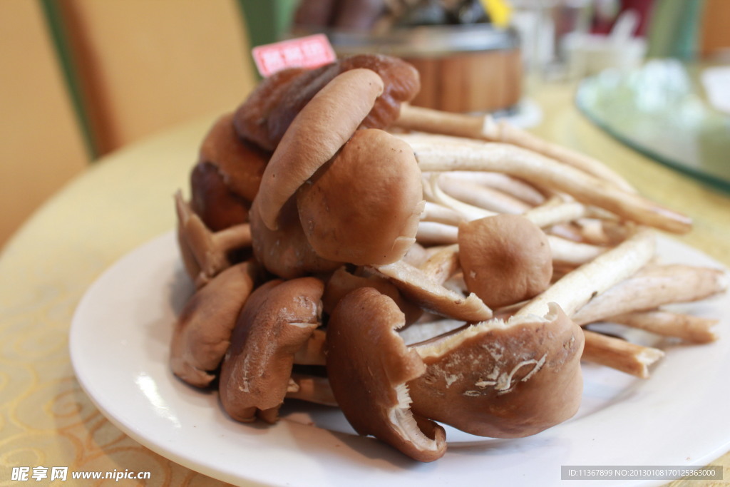菌類