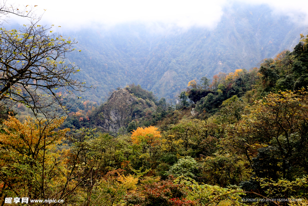 云霧山景