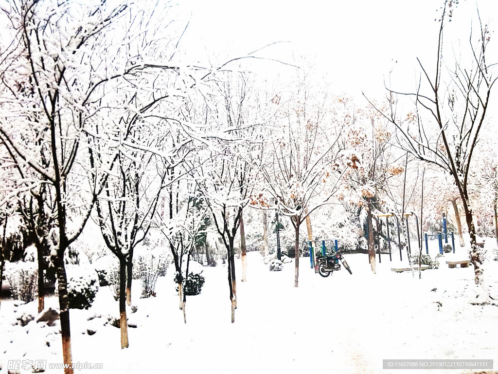 雪景