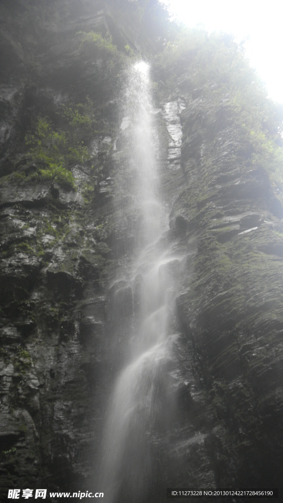 鳳凰
