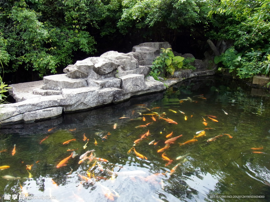 青青世界 魚