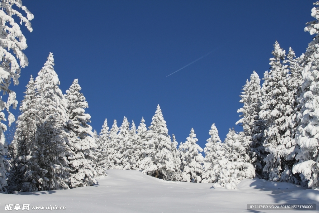 冬日雪景