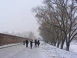 冬日街道摄影图片