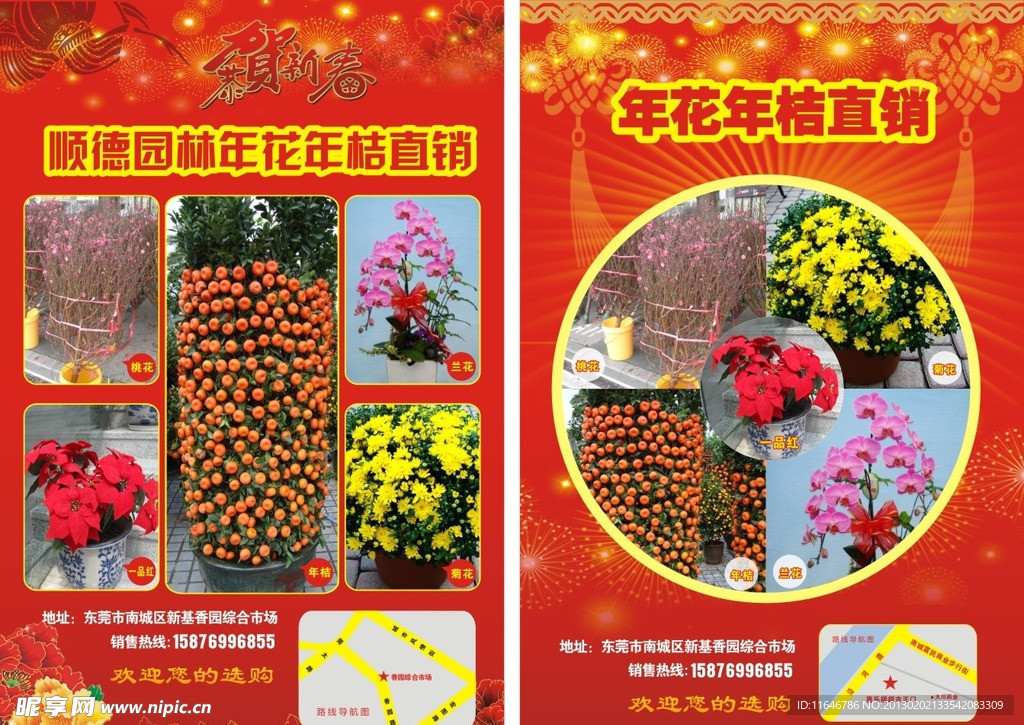 年桔 喜慶底